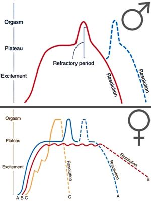 anal organsim|Anal Orgasm: How To Have One, Tips, Positions, Best Practices.